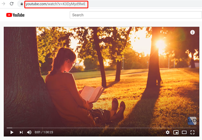 YouTube 再生リスト ダウンロード-動画URLをコピー